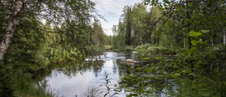 Naturen ska räddas – "Blir säkert dramatik"