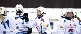 Segern som får HT Bandy att drömma om final