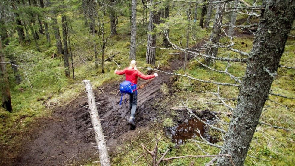 När en kommun arbetar med att bevara och utveckla bostadsnära natur kan fler motiveras till mer utevistelse, menar insändarskribenterna.