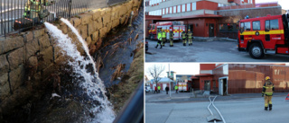 Rockarkivet drabbat av läckan – hotellgäster slog larm