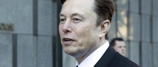 Tesla-anställda som vill bilda fack sparkas