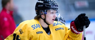 Luleå Hockey-spelare dömd för misshandel