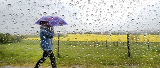 Chocken efter sommarvärmen: Regn och ner mot tio grader