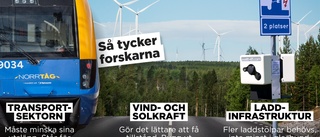 Klimatforskarna: Det här måste politikerna göra