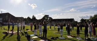 Hundens position under sommaryoga i Stadsparken