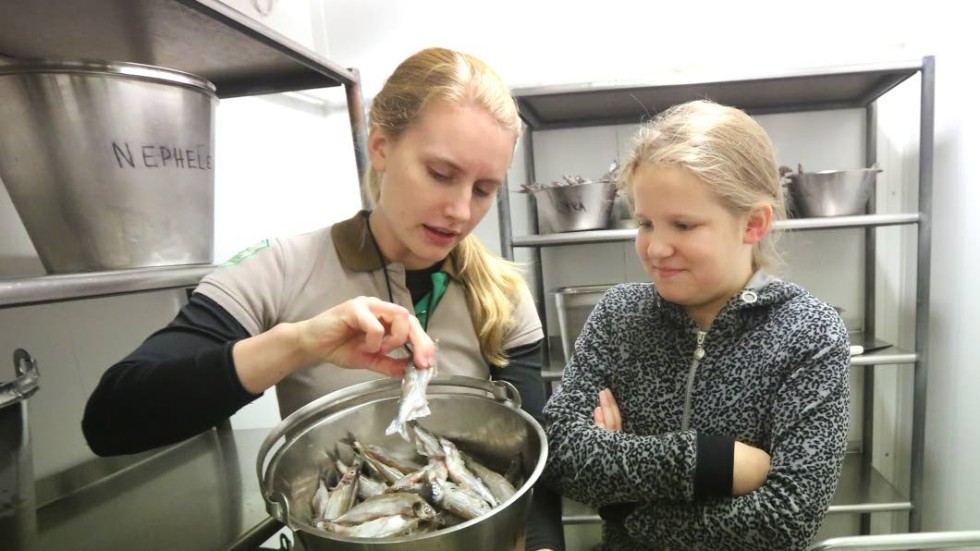 Luktar fisk. Fisk står menyn varje dag och skötarna måste se till att den är god och tinad. Här visar tränaren Elin Ström    Elina Brinkhammar hur det ska se ut.