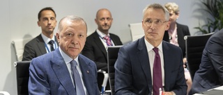 Att ge efter för Erdogan skulle vara mycket farligt 