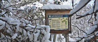 Svårt att ta sig in i Tomtaklintskogens naturreservat