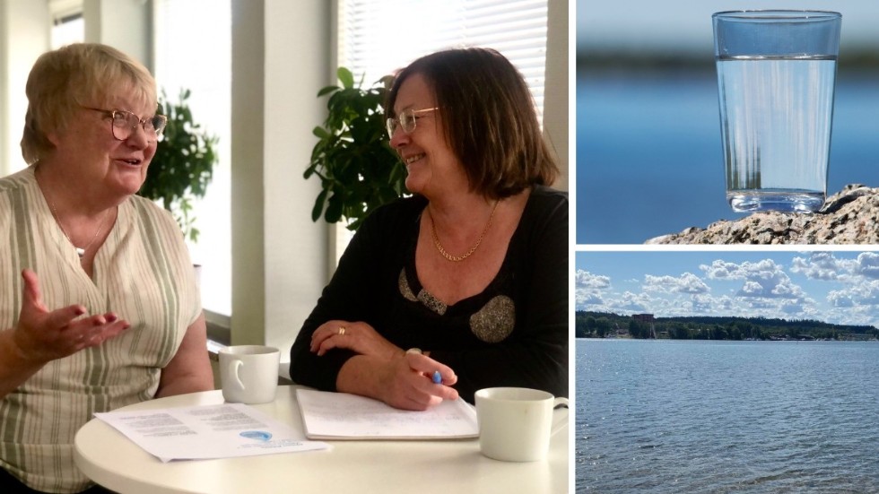 Eva Andersson och Caroline Millberg arbetar båda två som sjuksköterskor, och blev engagerade i Aktion rädda Vättern efter att själva ha blivit informerade om hoten Vättern står inför.