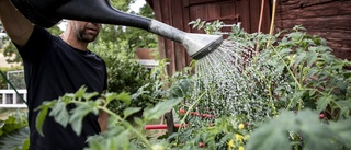 Samla vatten för att minska bristen