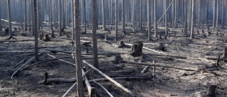 Höjer partierna klimatmålen nu?