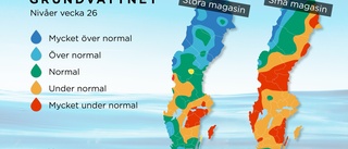 Lågt grundvatten ger oro för vattenbrist