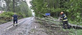 Omkullblåsta träd blockerade flera vägar