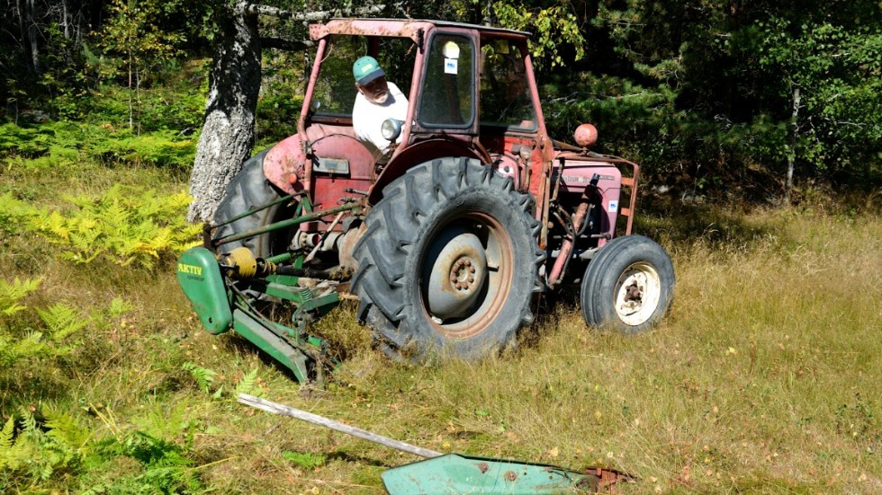 Ulf Jonsson slår gräset med en slåtterbalk påhäktad på sin Massey Ferguson modell 35.