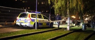 Vansinneskörning gav 2,5-års fängelse