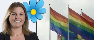 SD kritiska till Pride: "Är en rörelse som urartat"