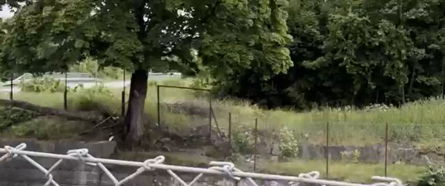 Här ligger trädet över vägen