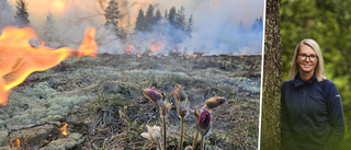 Sörmlands skogar behöver brinna i sommar