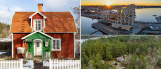 Trerummaren i Träthult brädade fyran på Slottsholmen