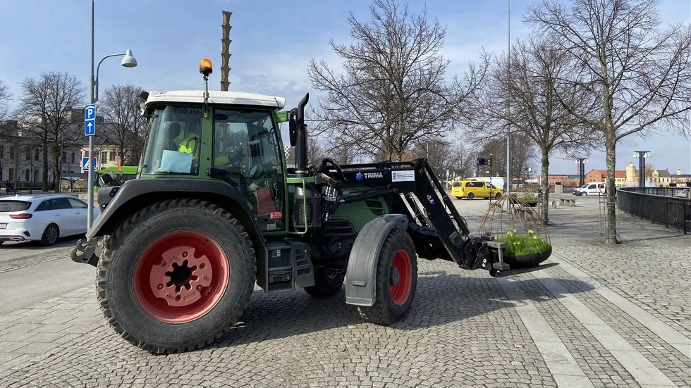 Under onsdagen påskpyntas Eskilstuna. Fler bilder hittar du nedan.