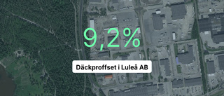 Däckproffset i Luleå AB: Intäkterna fortsätter växa