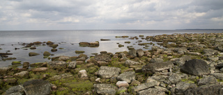 Vrakfynd utanför Öland: Champagne och sodavatten