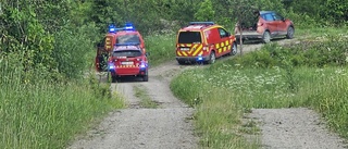 Skogsbrand utbröt efter blixtnedslag