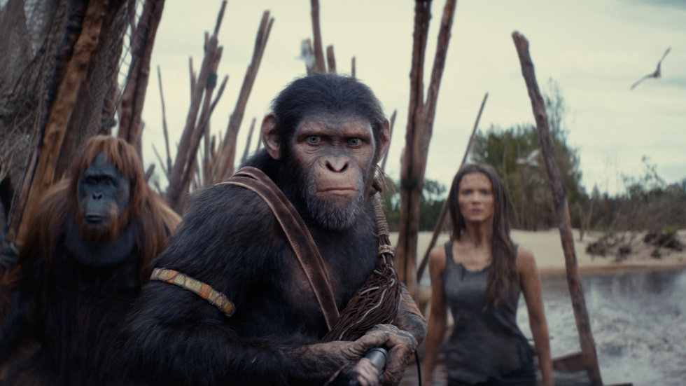 "Kingdom of the planet of the apes" är den senaste filmen i berättelsen om "Apornas planet". Den utspelar sig 300 år efter 2010-talets trilogi, men innan 1960-talets pentalogi.