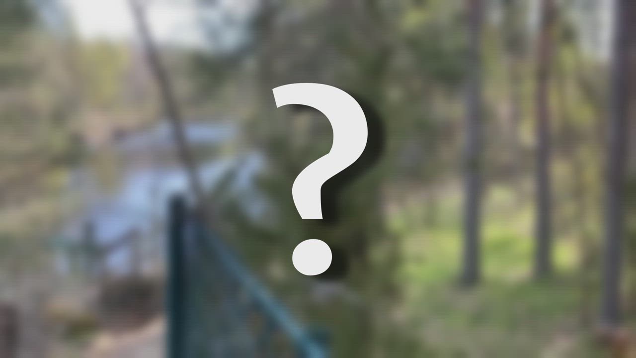 https://cdn.ntm.se/api/v1/images/r4wk599l