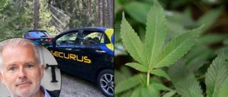 Polisens fynd – cannabisodling och vapen