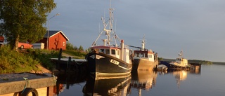 Läsarbilden: Småbåtar i sommarsolen