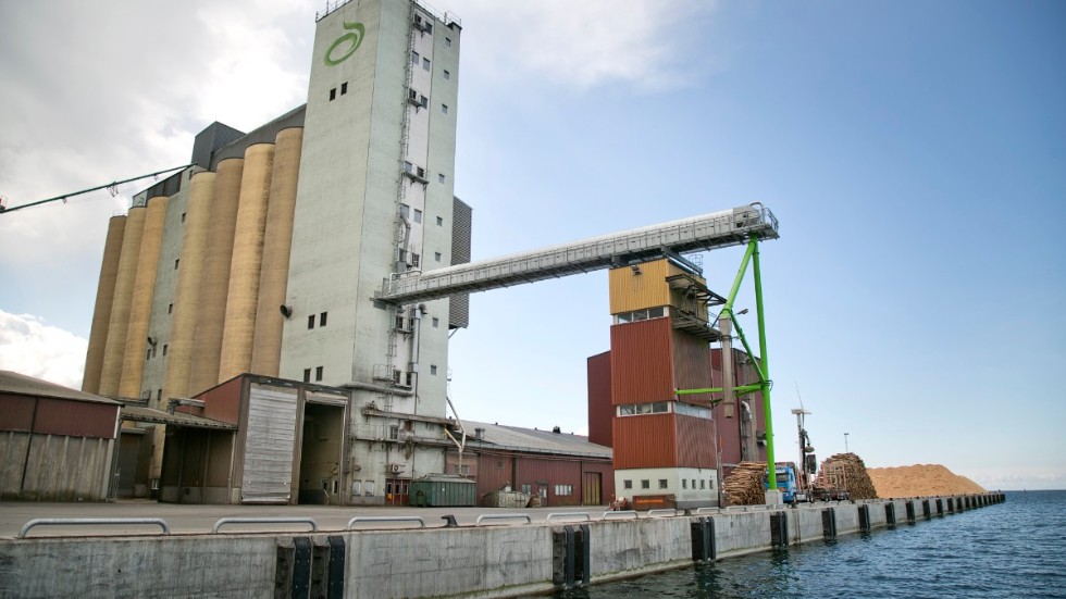 Lantmännens foderfabrik i Klintehamn har fått stoppa produktionen sedan man upptäckt salmonella.