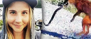 TV: Amanda, 23, fångade dödsfajt på film – mellan orm och räv