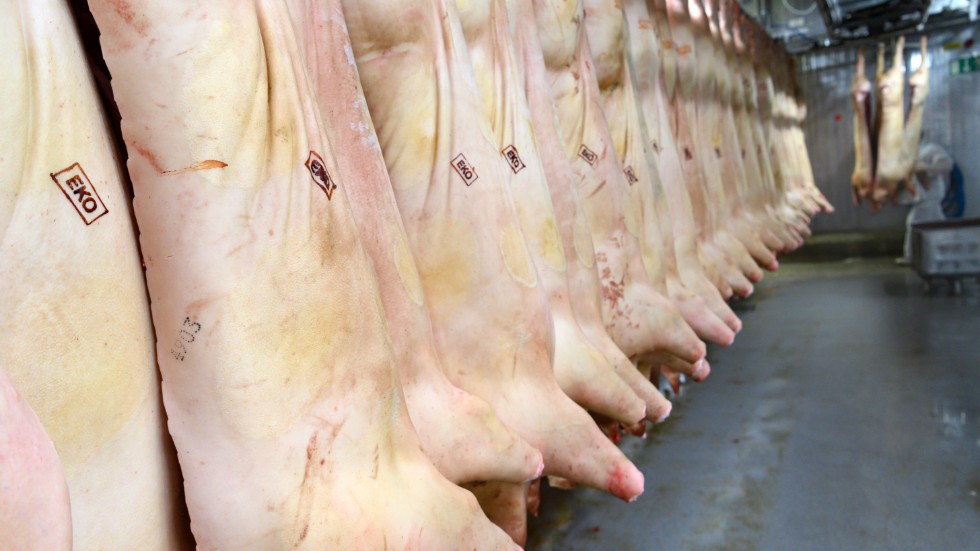 Kina tar bort tillfälliga tullsänkningar på fläskkött nästa år, men sänker tullarna på nästan tusen andra varor. Arkivbild