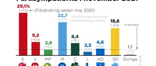 Opinionen varslar om fortsatta regeringskriser