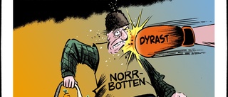 De dyraste och billigaste matkassarna i Sverige …