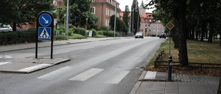 Så kan säkerheten ökas vid Vasaparken