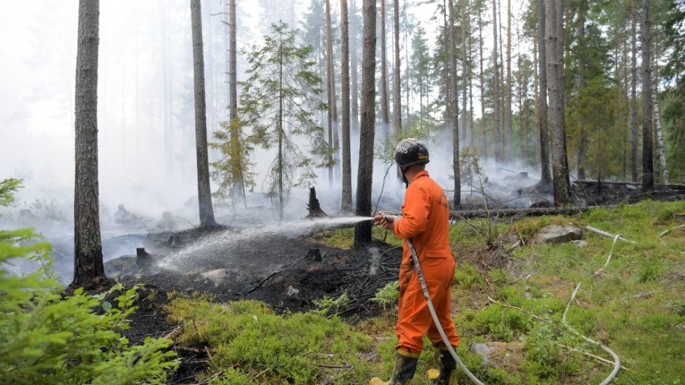 Att frivilligt få släcka skogsbränder är tydligen en förmån och ska följaktligen beskattas därefter.