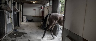 Sjukdomsdrabbat stall isoleras