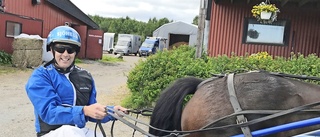 Skelleftetravet: Sören tog årets första seger – satt och undrade var favoriten tog vägen