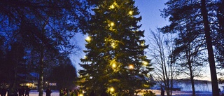 Stämningsfull julmarknad för stora och små