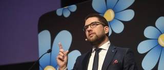 Åkesson retas hellre än regerar