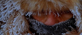 Snön och kylan blev till guld 