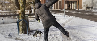 ”Halkbekämpning under all kritik”