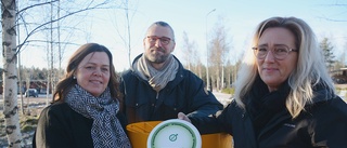 Beskedet säkrar discgolf – här är namnet på banan i Storebro • "För en liten förening är ett sånt här projekt egentligen omöjligt"