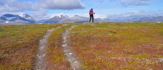 Läsarbilden: Härligt med fjällvandring!