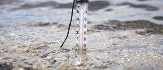 Solig start på dagen men kyligare temperaturer är att vänta 