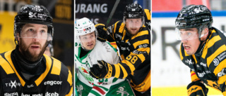 Höga betyg när AIK vann mot tufft Rögle: ”Visade NHL-klass – var dagens man” 