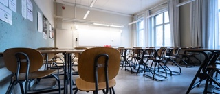 Skolan för viktig för att lämnas till kapitalintressen