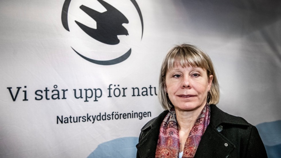 Karin Lexén, generalsekreterare i Naturskyddsföreningen. Arkivbild.